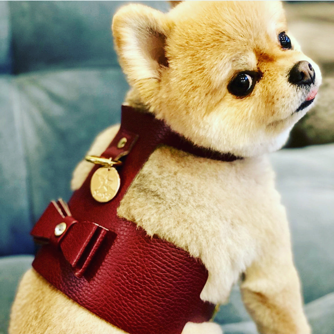 Poisepup – Luxury Pet Dog Harness – Soft Premium Italian Leather W