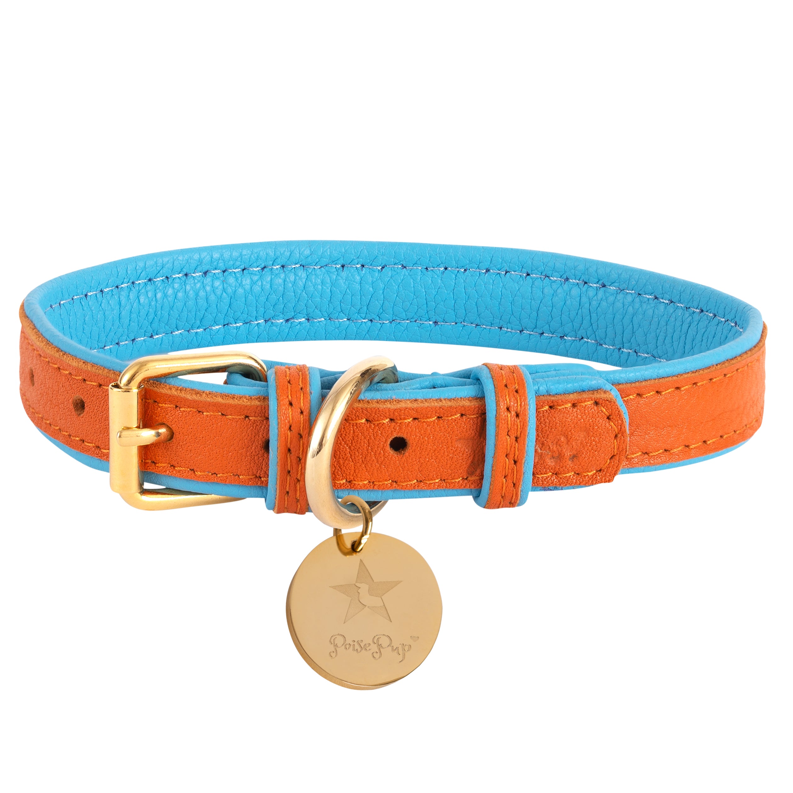 Radiance Blue Uptown Dog Collar