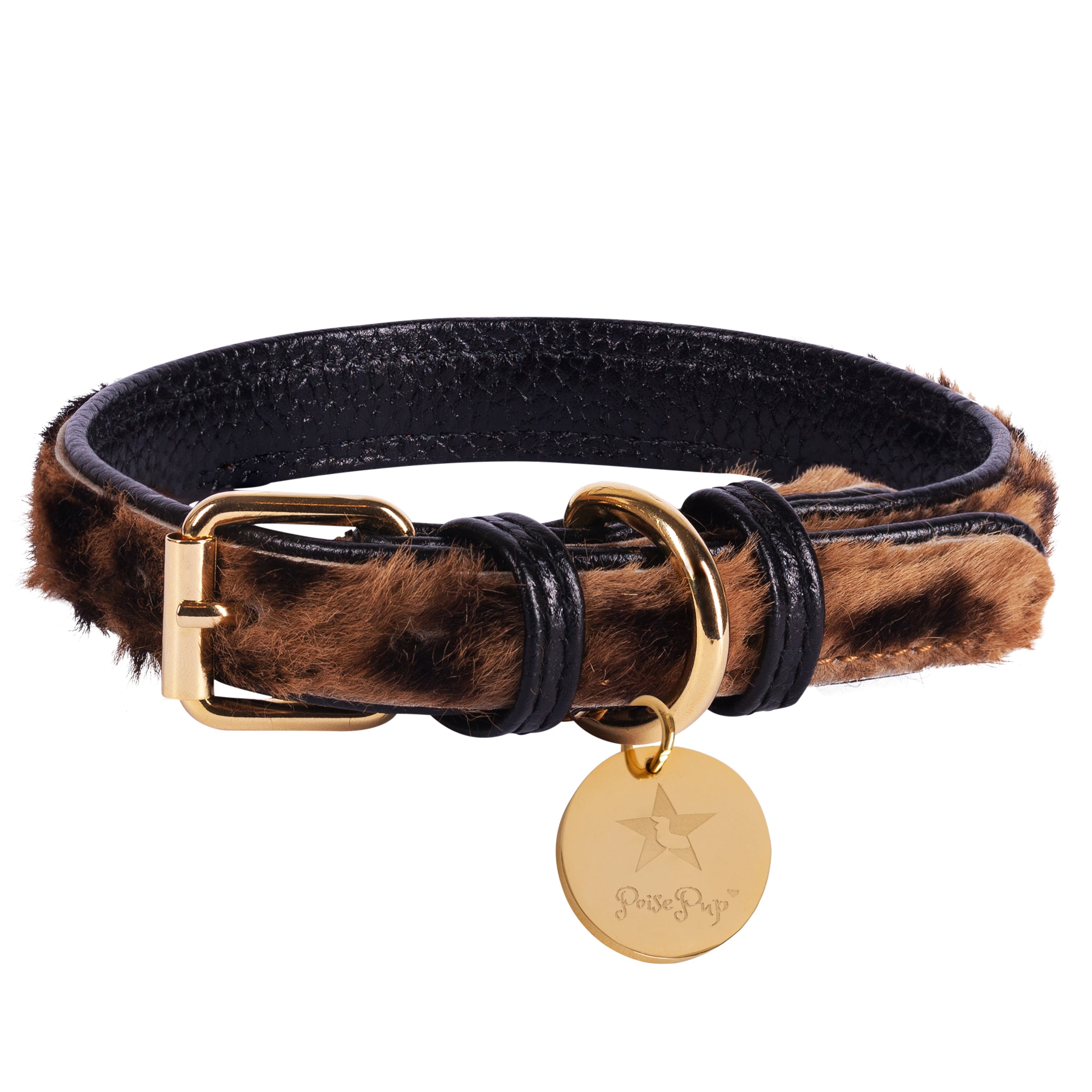COLLAR - DESERT MINT  Dog collar, Leather dog collars, Designer